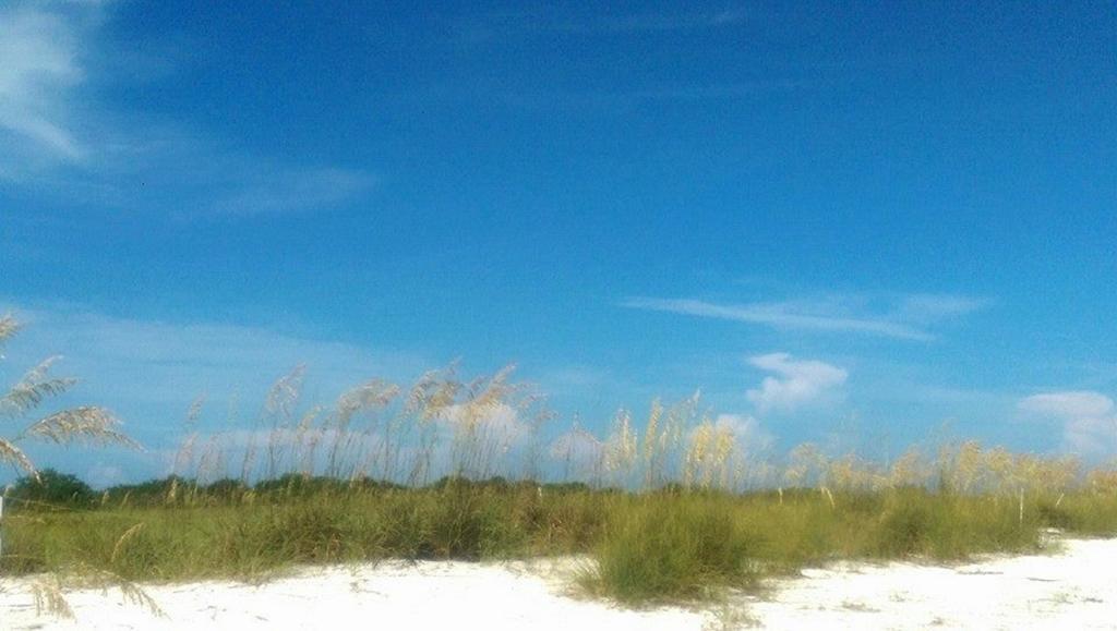 Pag Beachhouse Rentals St. Pete Beach Dış mekan fotoğraf