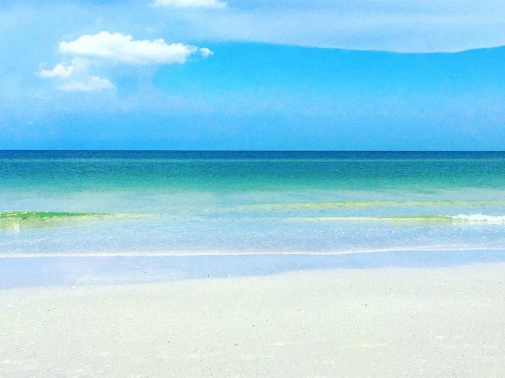 Pag Beachhouse Rentals St. Pete Beach Dış mekan fotoğraf