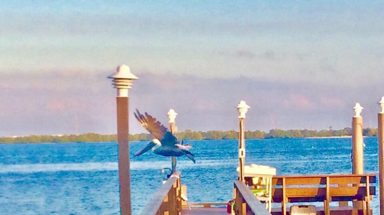 Pag Beachhouse Rentals St. Pete Beach Dış mekan fotoğraf
