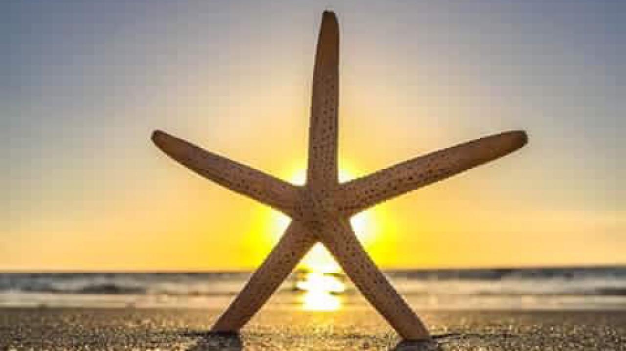 Pag Beachhouse Rentals St. Pete Beach Dış mekan fotoğraf