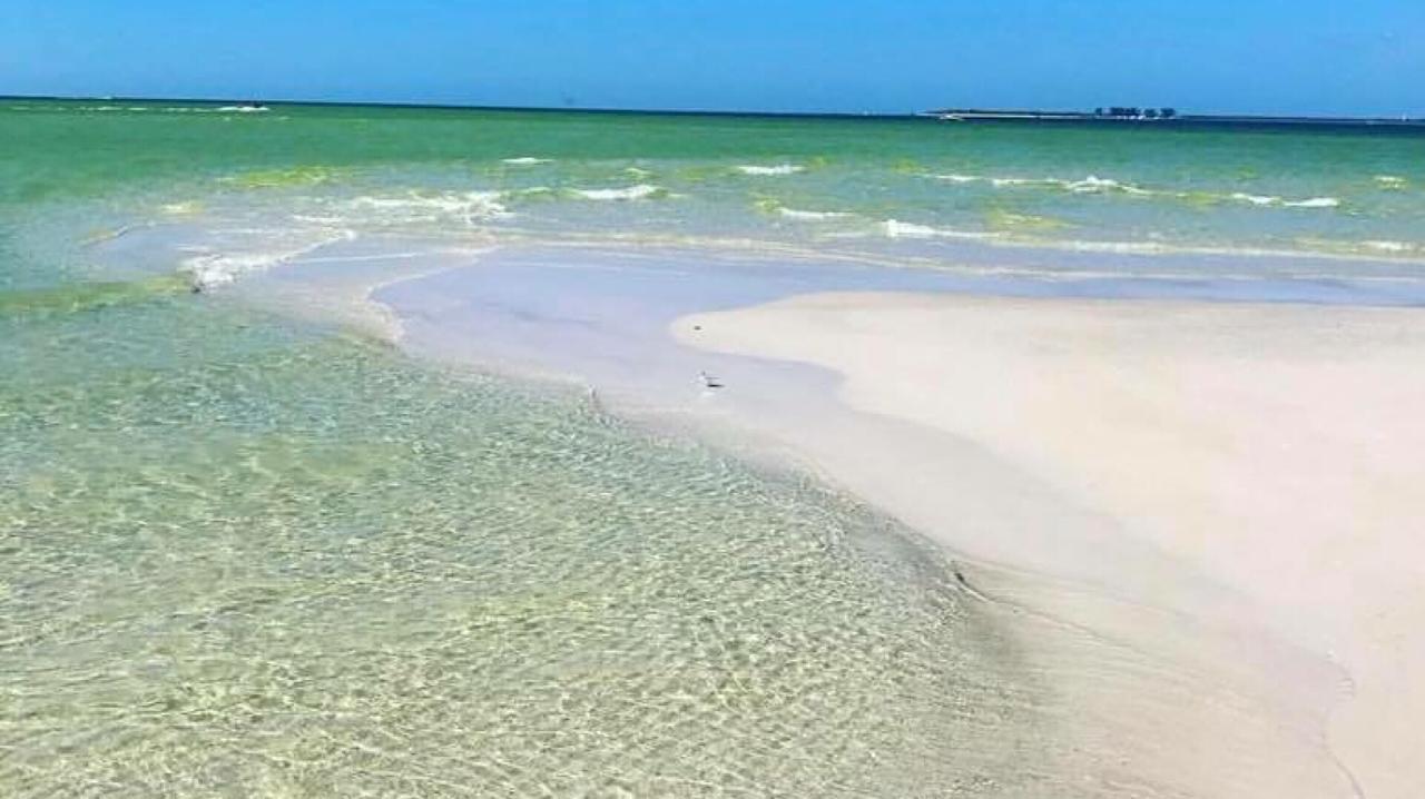 Pag Beachhouse Rentals St. Pete Beach Dış mekan fotoğraf